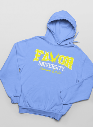 Sky Blue Favor University Hoodie